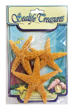 Sugar Starfish Mix-3