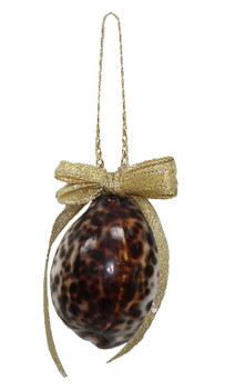 Tiger Cowrie Ornament