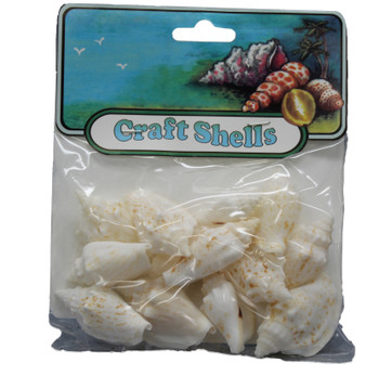 White Chula