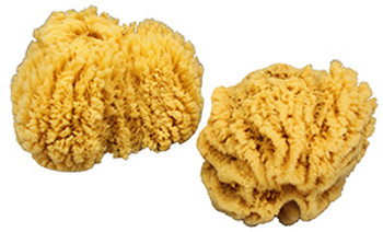 Small Glove Sponge