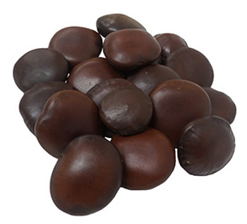 Heart Seabean