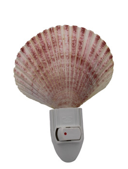 Pecten Night Light