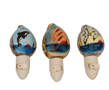 Assorted Painted Tiger Cowrie Night Light