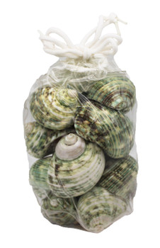 Polished Green Turbos Small Vinyl Bag