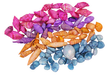 Dyed Small Mix Pastel- Kilo