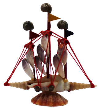 Strombus Urceus 4" Shellboat
