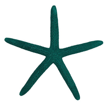 Painted Finger Starfish- Teal