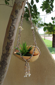 Shell Hanger 24"- DZ