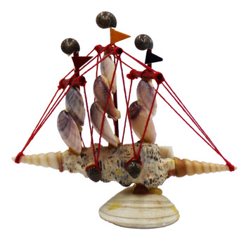 4" Nobby Cerithium Shellboat