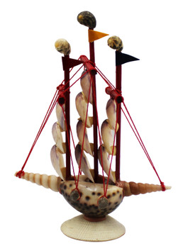 8" Tiger Cowrie Shellboat