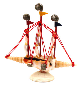 Strombus Luhuanus 4" Shellboat 