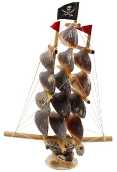 Tiger Cowrie Sailboat-Padre Island