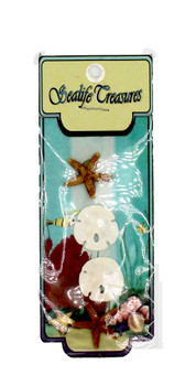 Md Sanddollar/Starfish