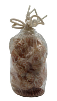 Babylonia Spirata-Vinyl Bag