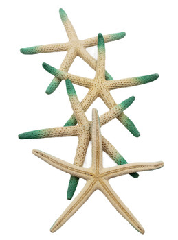 Tip Dyed Finger Starfish - Hemlock