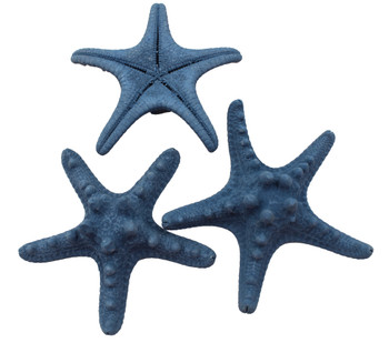 Ptd Armoured Starfish 4-5"