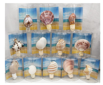 Assorted Night Lights - Oval Pkg