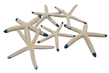 tip Dyed finger Starfish-Placid Blue 