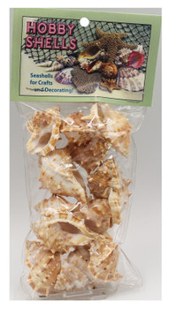 Bursa Rana- Craft Pack