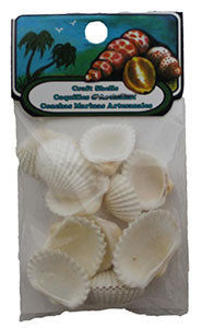 Small Baby Arks- Craft Pack