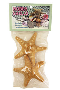 Armoured Starfish- Craft Pack