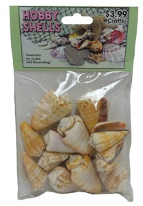 Strawberry Strombus- Craft Pack