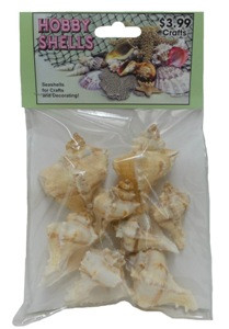 Murex Virgineus -Craft Pack