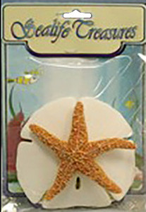 Lg Sanddollar & Starfish