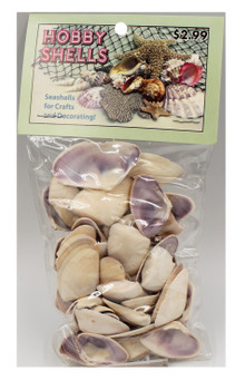 Coquinas- Craft Pack