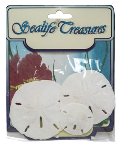 Mixed Sanddollars w/Hdr