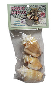 Fighting Conchs- Craft Pack