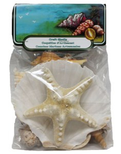 Shells W/Armoured Starfish- Craft Pack