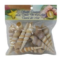 Turitella Seashells- Craft Pack