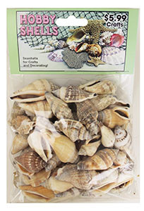 Brown Chula - Craft Pack