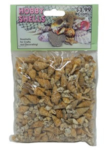 Turris & Dove Shells