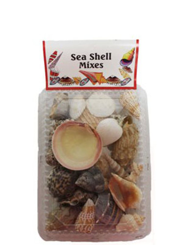 Large Shell/Double Sided Clear Shell Pack