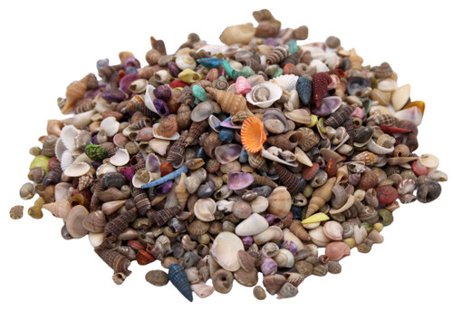 Extra Small Dyed/Nat India Mix Seashells