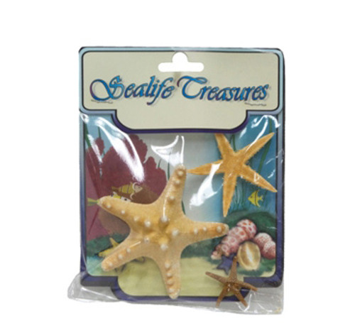Mixed Starfish-