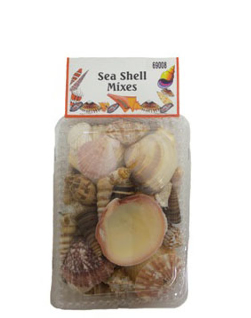 Double Sided Clear Shell Pack