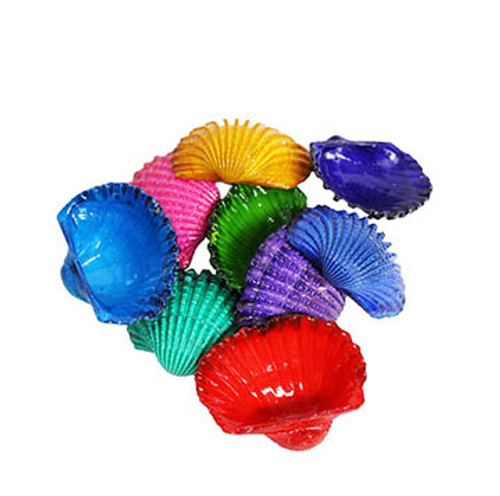 Dyed Ark Seashells 