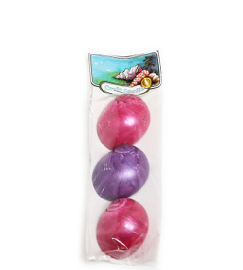 Dyed Natica Seashells 