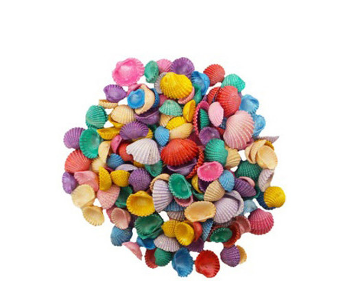 Dyed Small Baby Ark Pearl Seashells 