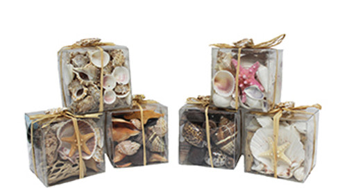 Gift Box Collection
