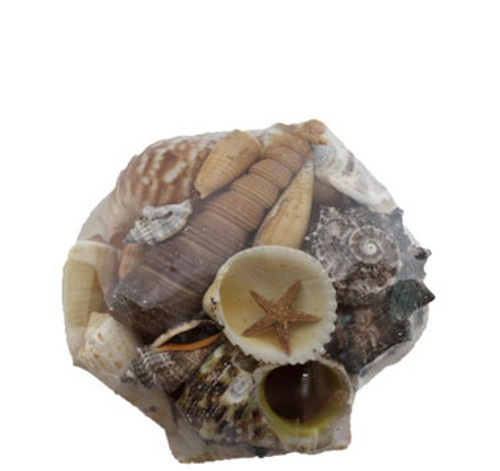 Baking Dish Shell Pack