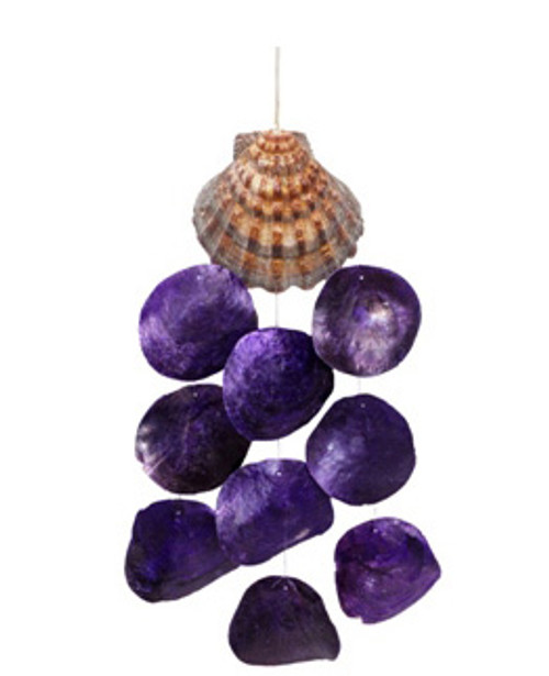 Lion's Paw Windchime w/Dyed Oyster Seashells