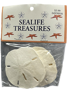 Mixed Larger Sanddollars