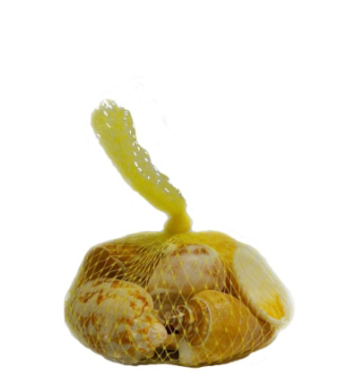 Net Shell Bag 
