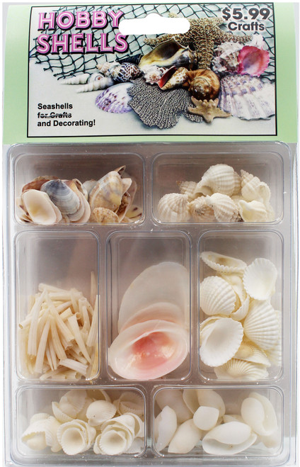 Pink and White Seashell Collection