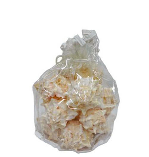 Pink Murex Seashell -12 pcs