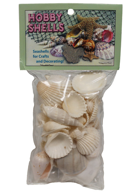 White Mix Seashells With Header